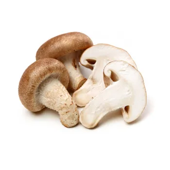 Mushroom (29)-5693339-55606.webp